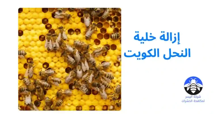 إزالة خلية النحل الكويت