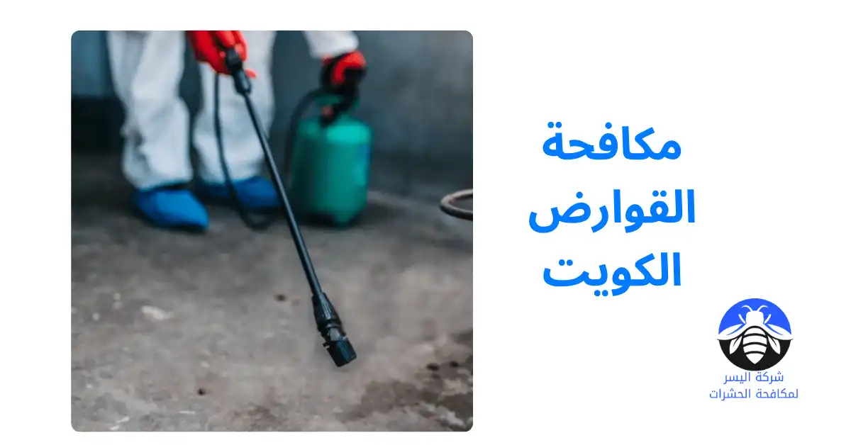 مكافحة القوارض الكويت