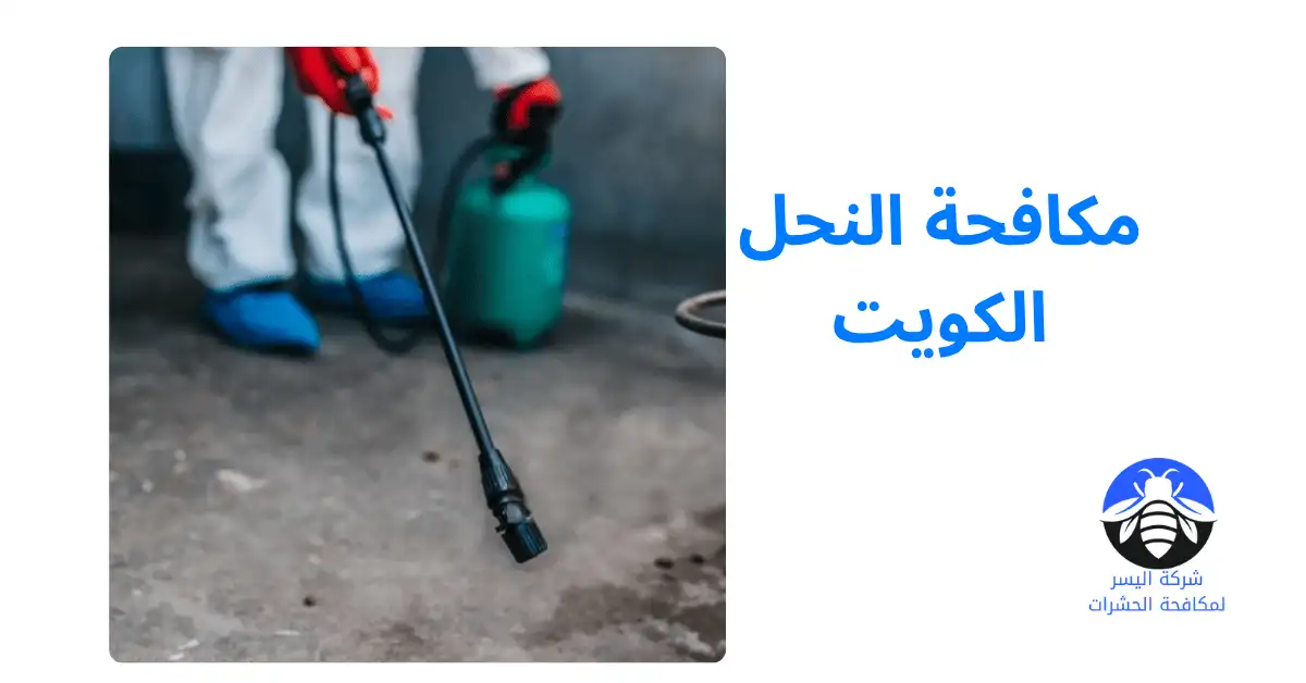 مكافحة النحل الكويت