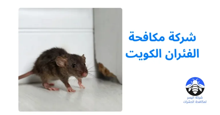 شركة مكافحة الفئران الكويت