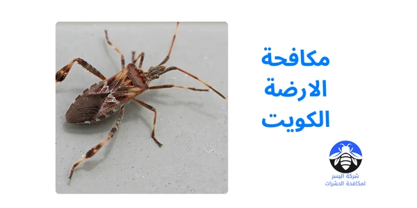 مكافحة الارضة الكويت