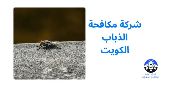شركة مكافحة الذباب الكويت