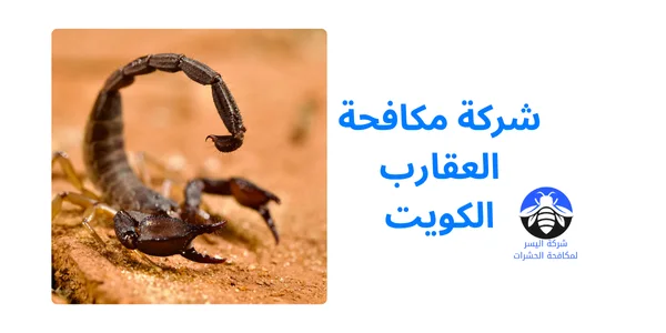 شركة مكافحة العقارب الكويت