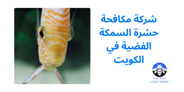 شركة مكافحة حشرة السمكة الفضية في الكويت